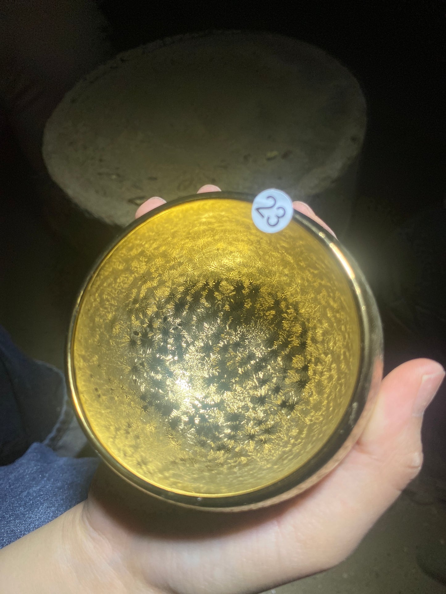 tea cup6.16