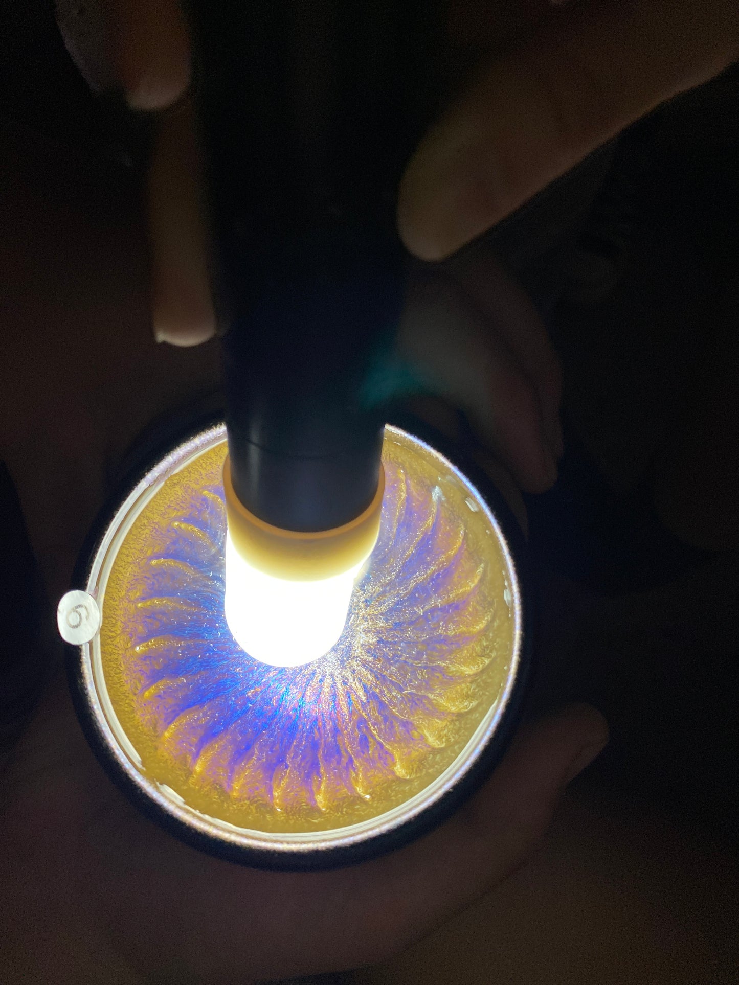 Tea cup6.21