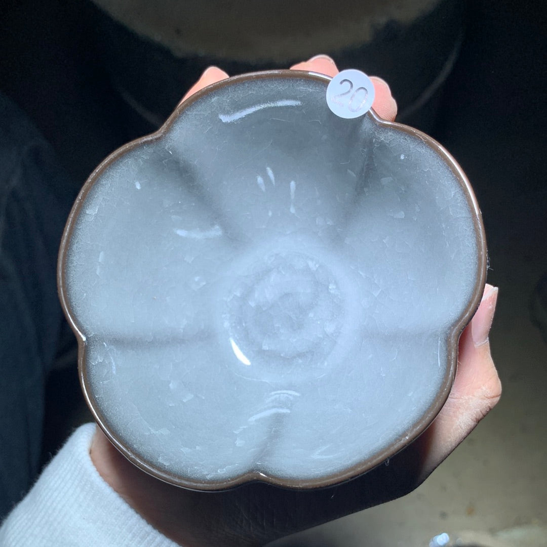 Tea cup6.6