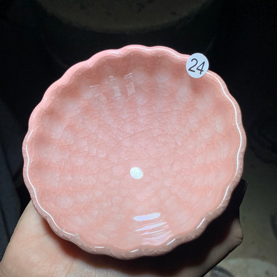 Tea cup6.5