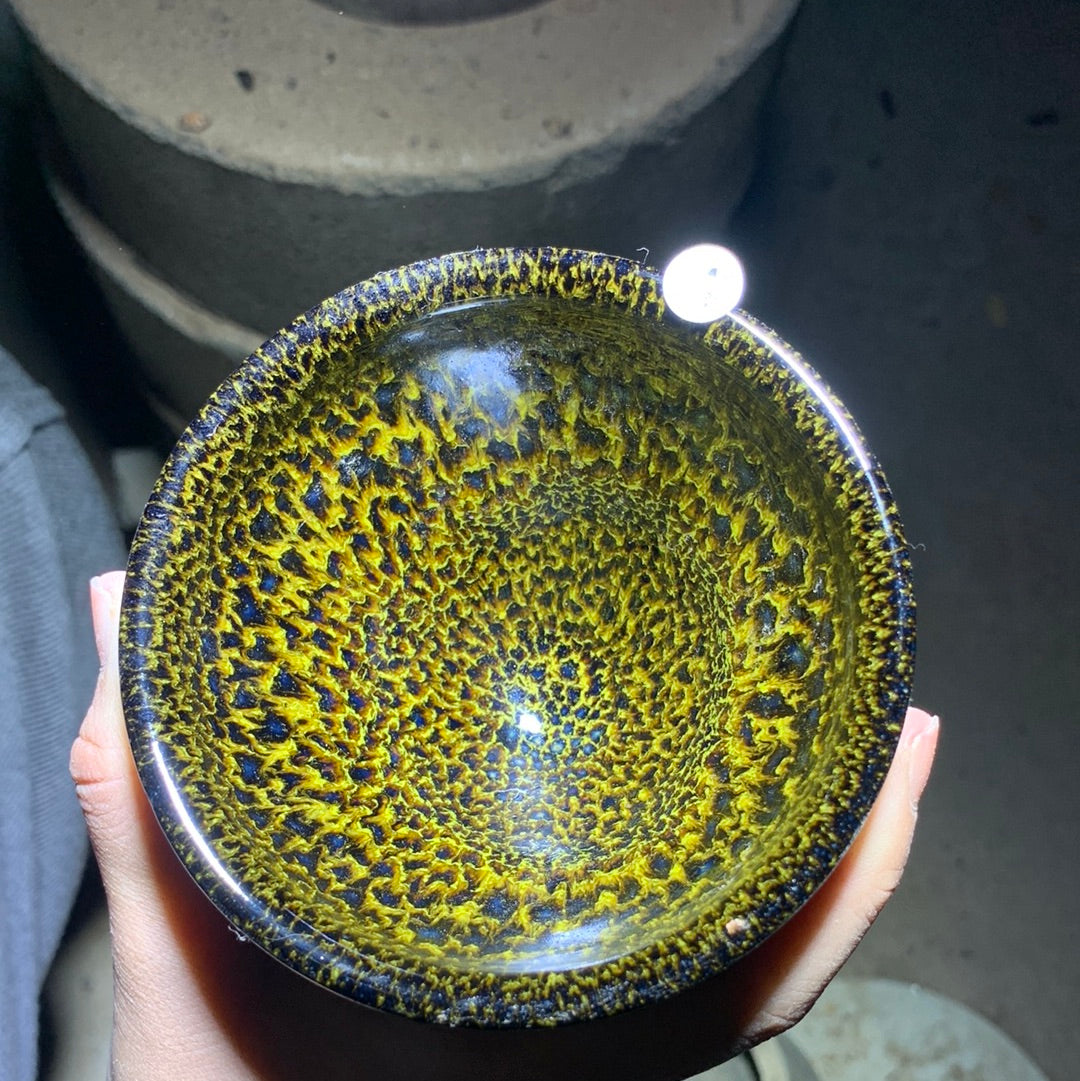 Tea cup6.5