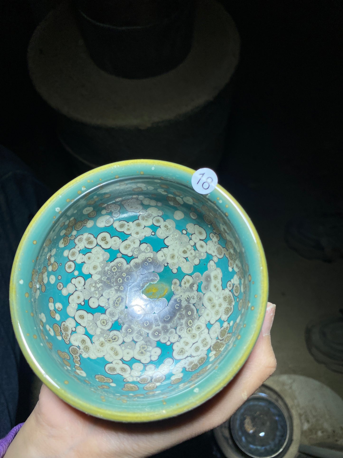 Tea cup9.5