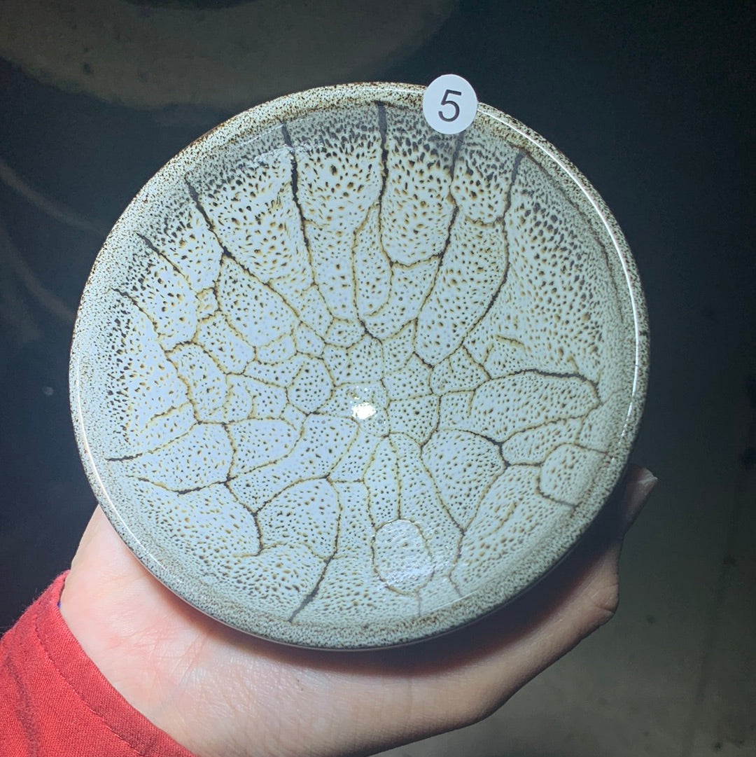 Tea cup6.3