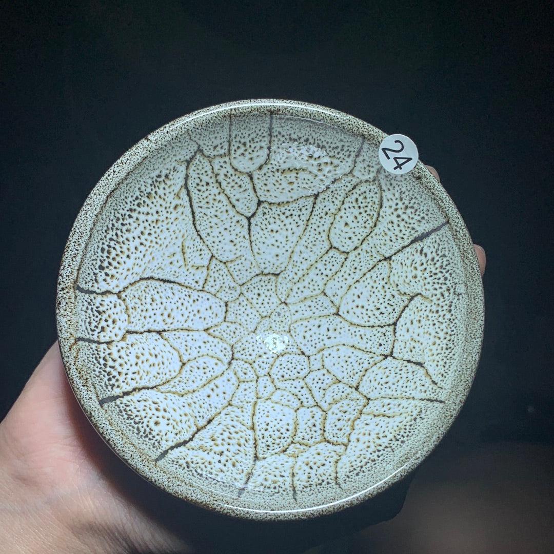 Tea cup6.2