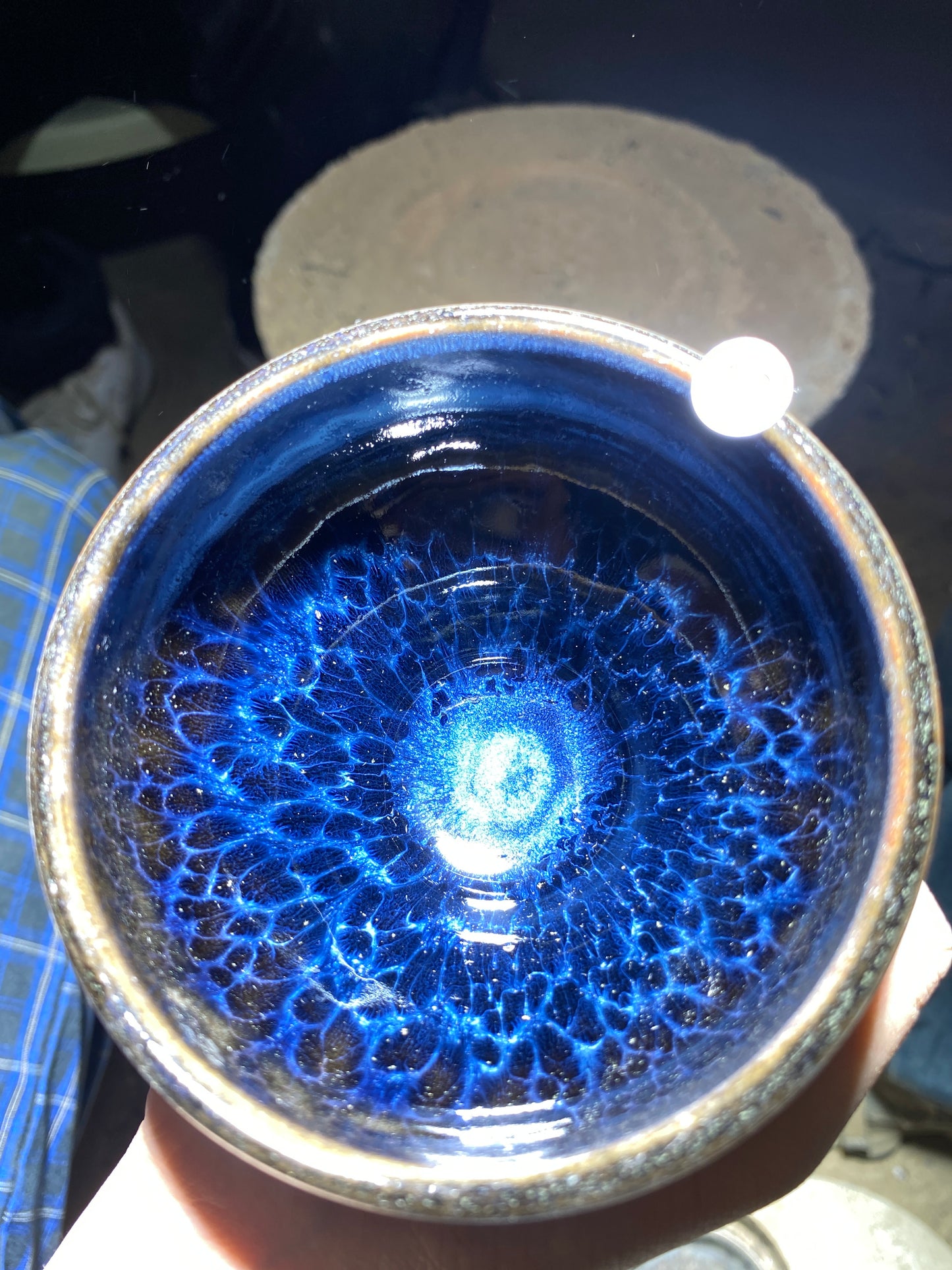 Tea cup6.8
