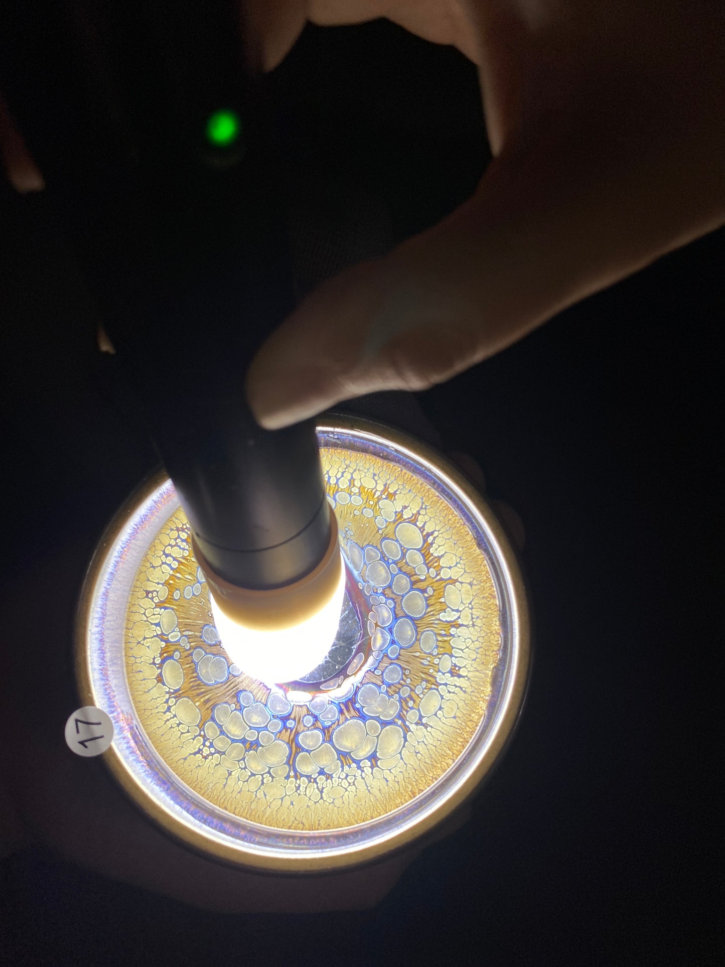 Tea cup6.8